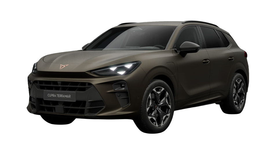 VZ LIMITED