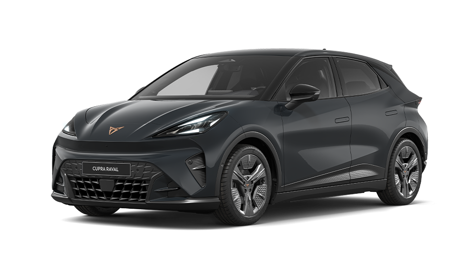 Business First Edition